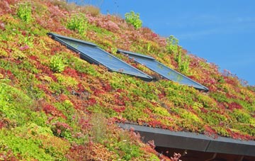 Stake Hill living roof systems